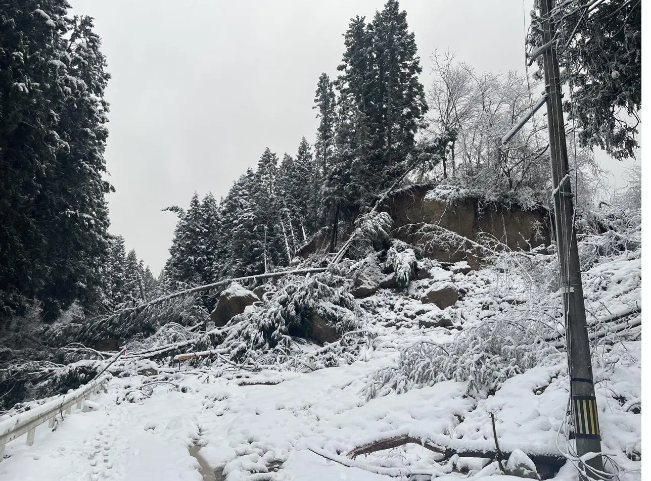 能登半島地震の被災現場
